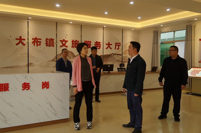 实地查看大布镇综合文化站建成情况.JPG