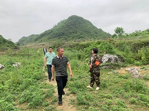 大桥镇提供 (1).jpg