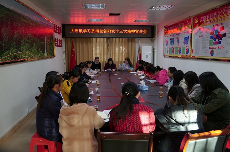 1.大布镇学习贯彻全省妇女十三大精神宣讲会现场.JPG