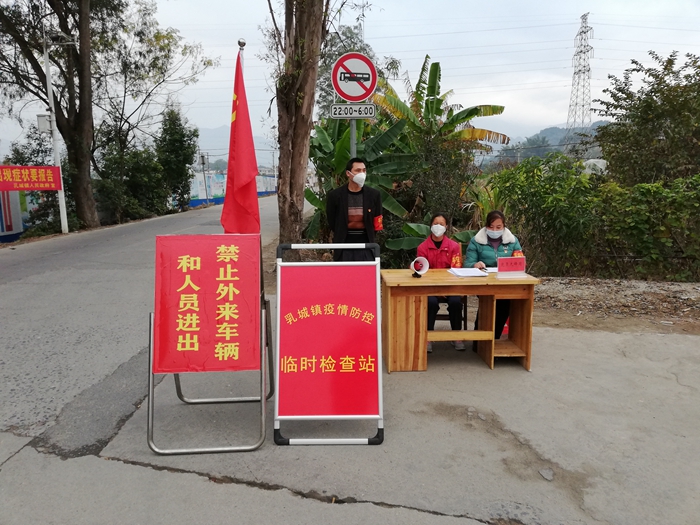 在村口站岗执勤对进出车辆进行排查.jpg