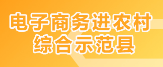 电子商务进农村综合示范县