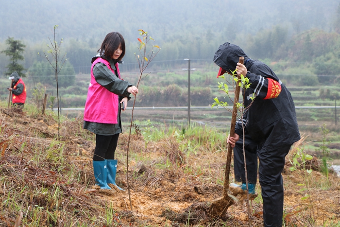 IMG_7060 - 复件.JPG