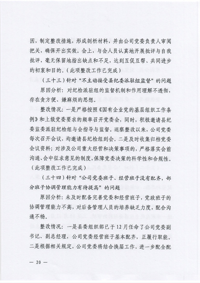 银源公司党委关于巡察整改阶段性进展情况的通报3.80019.jpg