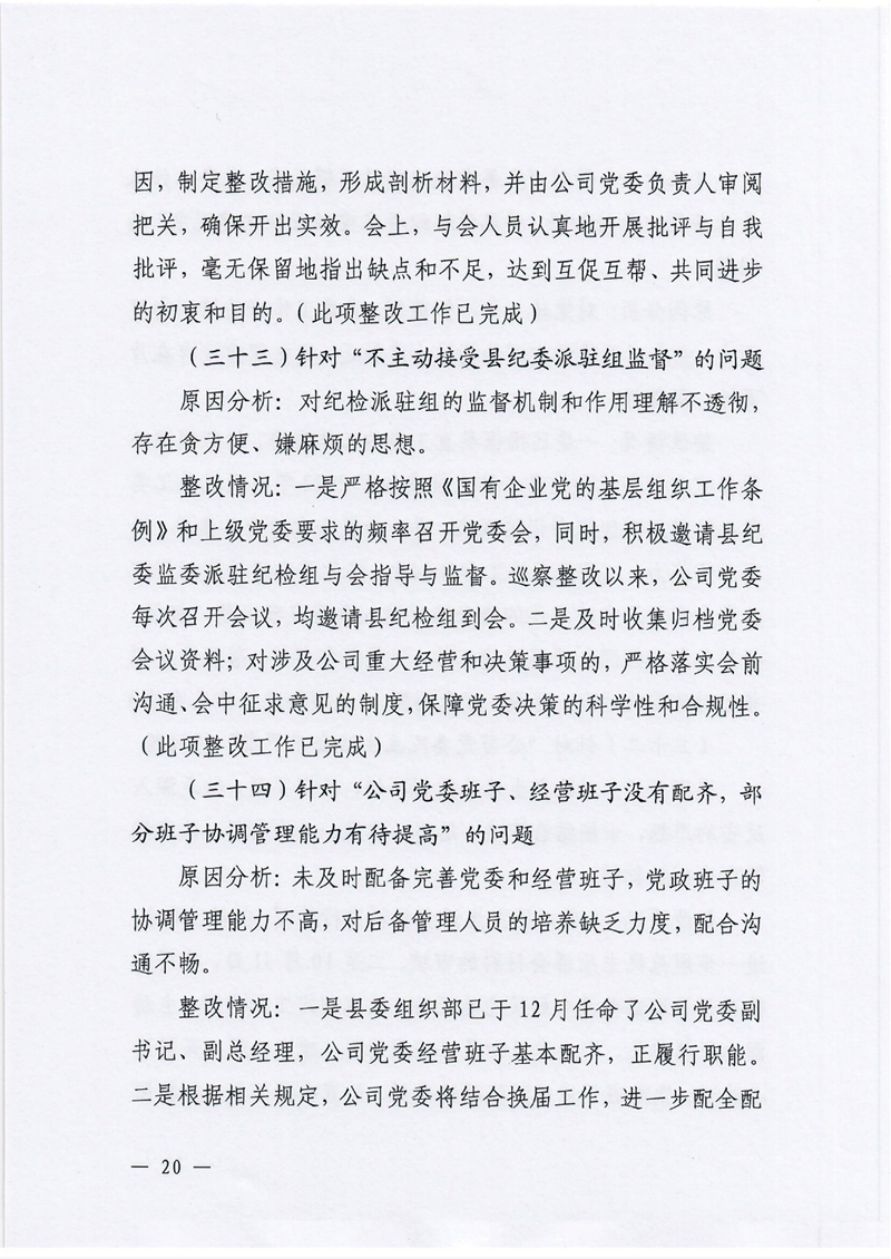 银源公司党委关于巡察整改阶段性进展情况的通报3.80019.jpg