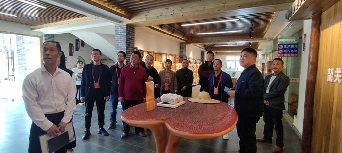新丰县沙田镇人大代表一行参观农产品展销中心.jpg