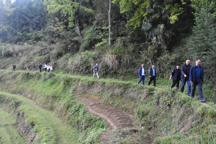深入岭头村水源地.png