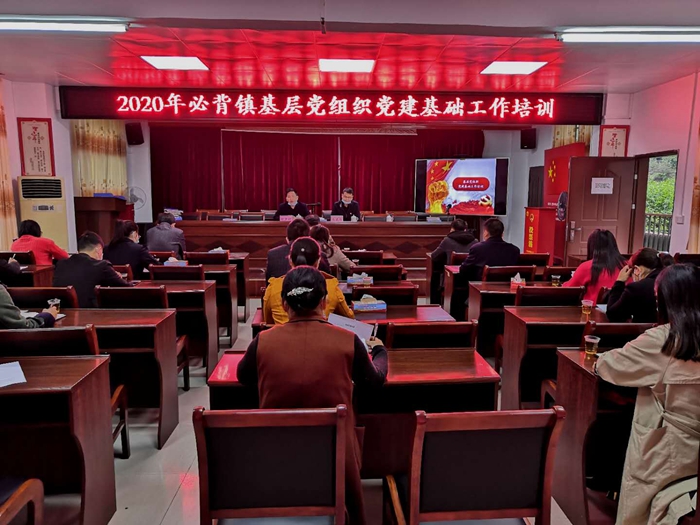 （必背镇党委副书记、镇长赵少辉作培训动员讲话）.jpg