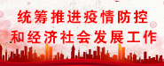 统筹推进疫情防控和经济社会发展工作专栏
