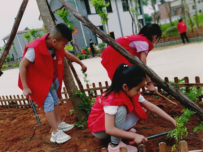 小志愿者种植花苗.jpg