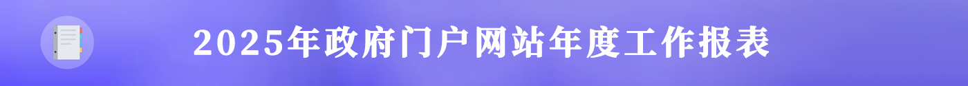 2025年政府门户网站年度工作报表