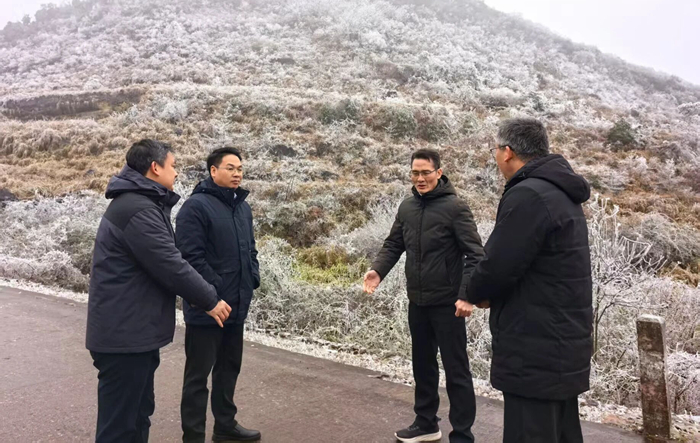 唐振朝到大桥镇督导低温冰冻天气防范工作