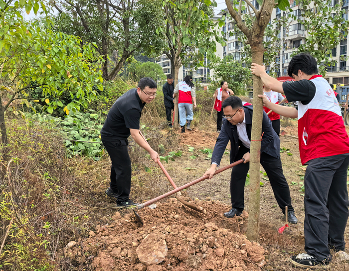 县住建管理局开展新春植树活动 林遥轩 摄 (1).jpg