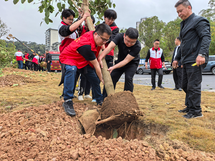 县住建管理局开展新春植树活动 林遥轩 摄 (5).jpg