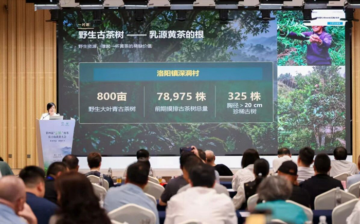 微信图片_2026-09-28_110357_544.jpg