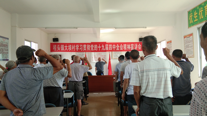 大坝村党支部全体党员在支部大会上重温入党誓词.png