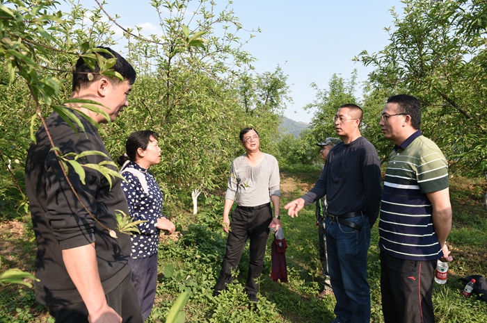县农业技术员在现场指导果树种植（县委宣传部钟华摄）_WPS图片.jpg