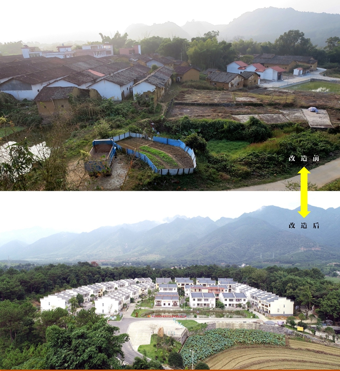 前后对比_WPS图片.jpg