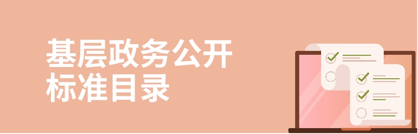 基层政务公开标准目录